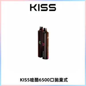 KIS5WAGOO哇酷6500口拋棄式 | 自由混搭雙口味 | 雙芯組合