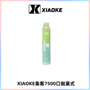 XIAOKE梟客7500Puffs跑馬燈拋棄式電子煙 可發光一次性